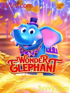 WonderElephant